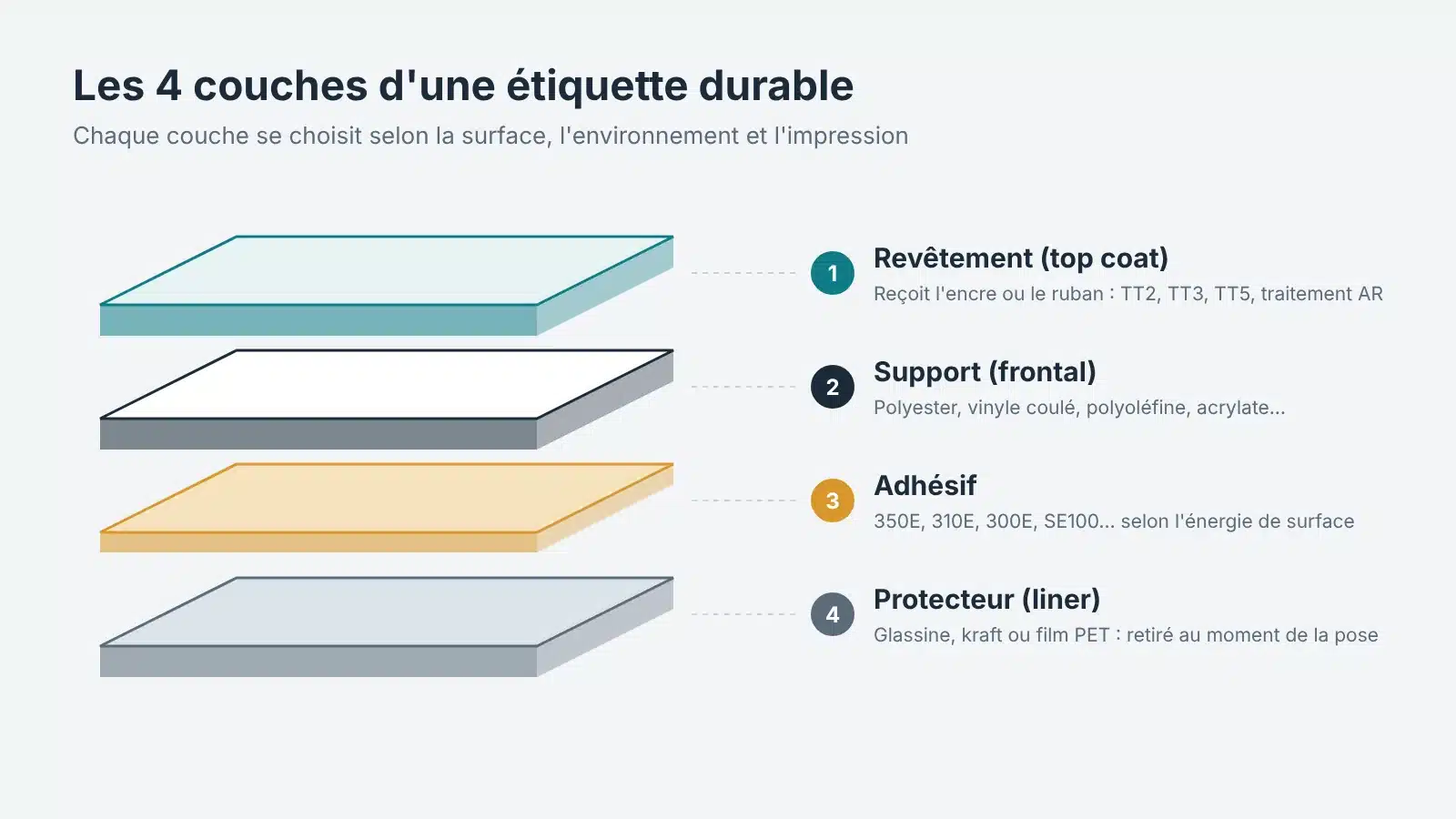 Vue éclatée des 4 couches d'une étiquette durable : revêtement, support, adhésif et protecteur